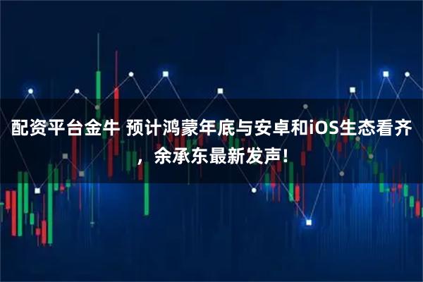 配资平台金牛 预计鸿蒙年底与安卓和iOS生态看齐，余承东最新发声!
