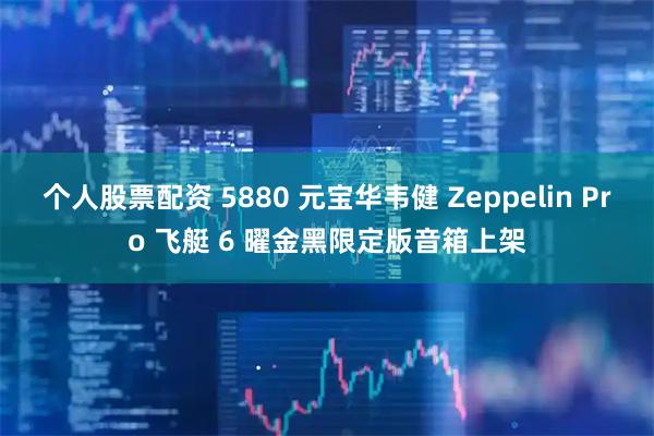 个人股票配资 5880 元宝华韦健 Zeppelin Pro 飞艇 6 曜金黑限定版音箱上架