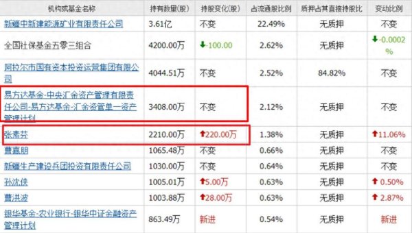 股票推荐配资 汇金加仓220万水泥股！又被套了，股民懵了