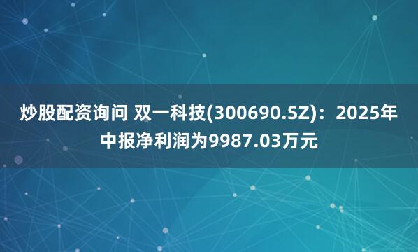 炒股配资询问 双一科技(300690.SZ)：2025年中报净利润为9987.03万元